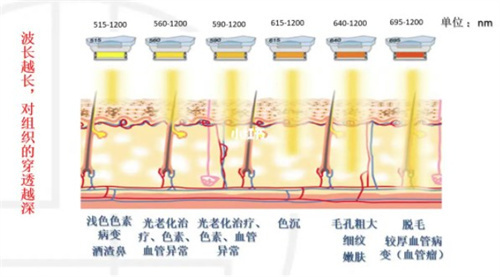 皮肤科医生24小时在线问诊：超声炮/热玛吉/超声提升等抗衰一对一解答！