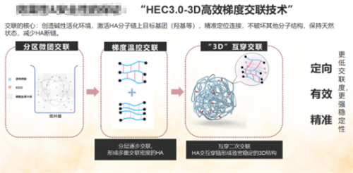 薇琳卓悦玻尿酸技术原理 薇琳卓悦玻尿酸技术原理