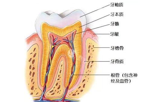 湖北随州汉植口腔医院全新项目价格介绍，正规医生团队为您量身定制健康计划！