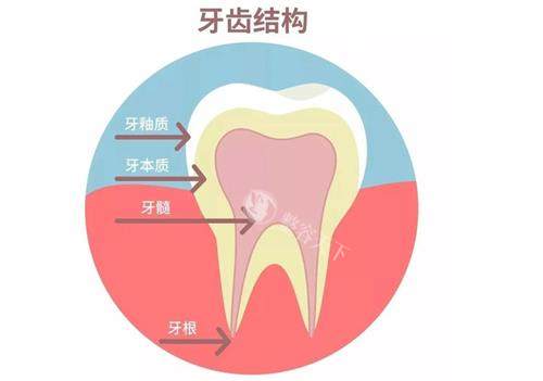 了解庆阳市优齿泰口腔医院：价格透明的牙齿美容项目及医生专科资历分享！