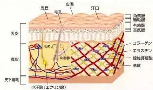 选择成都恒博天姿整形医院前必看：各类整形项目价格及医生团队详细介绍！