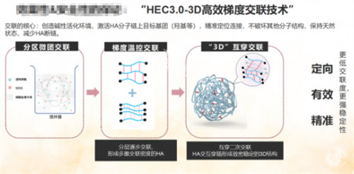 薇琳卓悦玻尿酸技术原理 薇琳卓悦玻尿酸技术原理