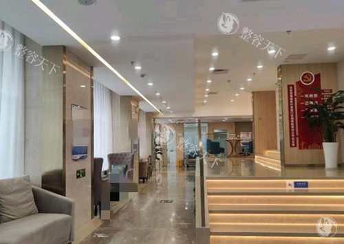 北京碧莲盛植发价格表2025一栏，眉毛种植9550元起/疤痕种植7600元起/发际线种植3800元起