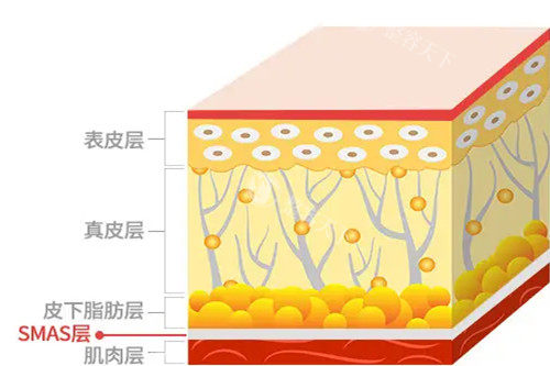 ​热拉提和黄金微针哪个好？从原理、功效、适用人群、价格等方面对比下！