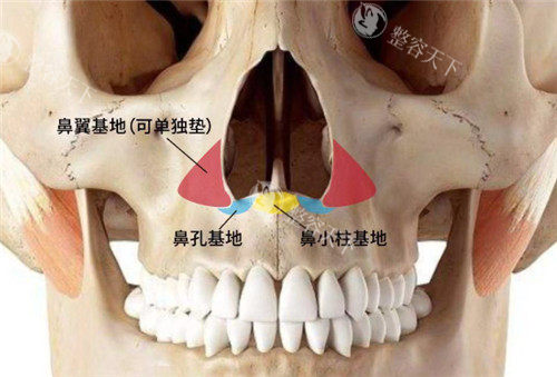 peek填充鼻基底凹陷怎么样?eek填充鼻基底凹陷，让你的侧颜秒变立体新高度！