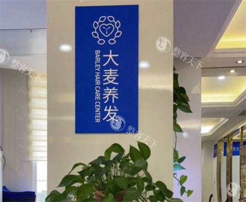 深圳大麦植发是正规医院吗？从连锁资质|植发特色|医生介绍|发友口碑来看都正规
