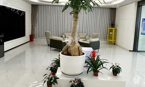杭州清沐张建文隆鼻口碑大起底！审美、技术、复原全揭秘，一文知晓他鼻子做得究竟如何
