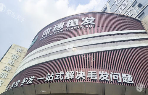 都说合肥青穗植发正规靠谱，分享毛发移植技术特点和收费标准！