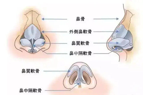 取肋骨做鼻子肋骨还会长吗？通常不会再重新生长出原来完整的样子！