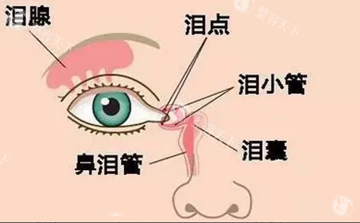 洛阳华美医疗美容医院备受关注，它到底好不好？地址在哪？一篇文章为你解决所有疑问