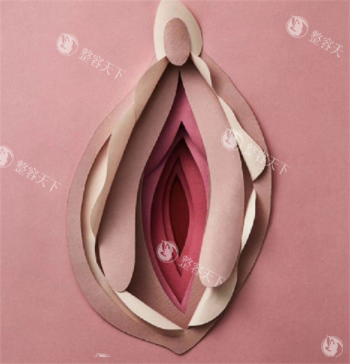 女性私密部位美观的样子图片 女性私密部位美观的样子图片