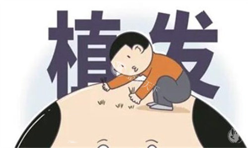 植发卡通图 植发卡通图