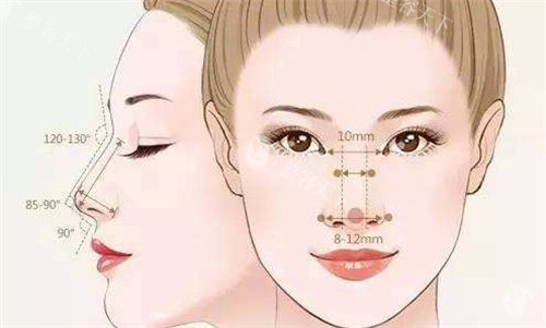 鼻中隔软骨隆鼻手术成效究竟如何？支撑性强、自然美观，还有适用人群介绍！