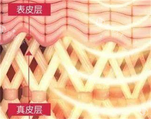 欧洲之星4D价格是多少？在4000-8000元不等，眼周、口周等不同部位为啥价格有差距
