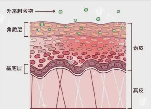 黑脸娃娃价格一览表：880元起,深层清洁+美白,肌肤透亮有光泽!