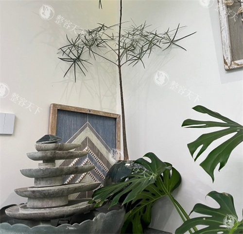 北京雅韵整形张昉医生怎么样?师从黄寺整形刘红梅医师|眼鼻+私密整形做的非常好