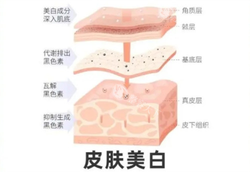 郑州市管城中医院整形科怎么样？医院资质硬，医生经验足、收费还透明