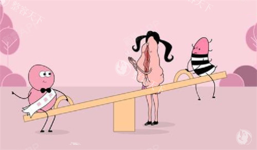 私密八爪鱼手术多少钱？全网价格解析，附赠术后护理tips和真实术例分享！