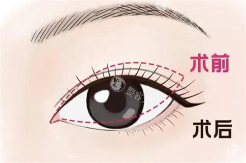 九江姿妍医疗美容医院怎么样?地址在哪里?分享简介介绍/地址位置/擅长项目/预约方式!
