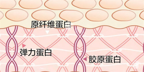 脸上注射胶原蛋白用什么牌子好？双美、薇旖美、弗缦和爱贝芙等可以放心选