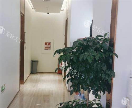 深圳美莱整形医院价格表！包含眼鼻胸吸脂以及皮肤轻医美和私密各项价格明细！