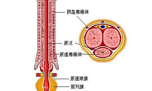 揭秘！李世荣医生重庆星荣操刀男科手术，延长增粗成果惊人，价格几何？