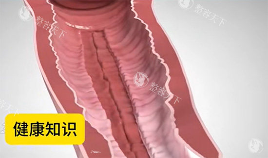 紧缩针多少钱一支？一次管多久？哪里可以打？2025官网报价1500+|维持5-7个月|一三三线正规医院一览