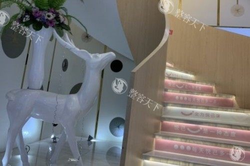 长沙美莱整形好不好？好！另分享预约挂号方式及正规资质