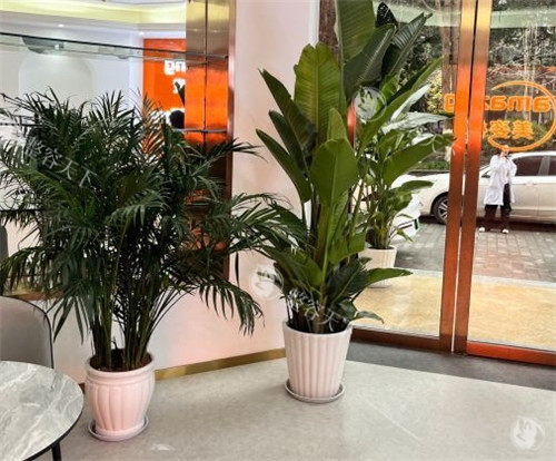 重庆美姿植发是否正规医院？当然正规，医院植发技术|植发价格表|发友口碑多方面解析