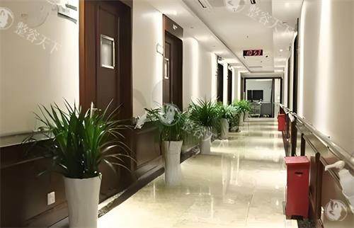 深圳阳光整形医院隆鼻怎么样？鼻整形口碑、医生隆鼻技术、罗志敏医生经验充足、价格透明~