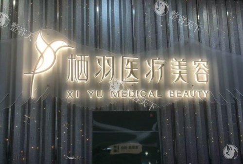 成都玻尿酸注射去哪里好？铜雀台/西区/艺星等10家机构对比，附医生资质与实例参考