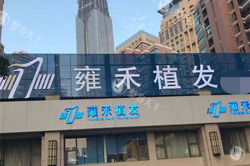为什么雍禾比碧莲盛贵那么多？原因揭秘：雍禾专注高端植发技术与定制服务，碧莲盛则主推普惠路线~