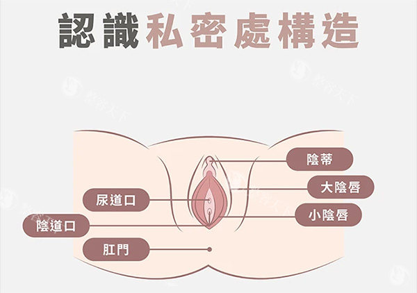 北京私密整形哪家医院好？禾美嘉/嘉禾整形/雅宸/四季青橙/空美圣医整形等几家私密有口碑~