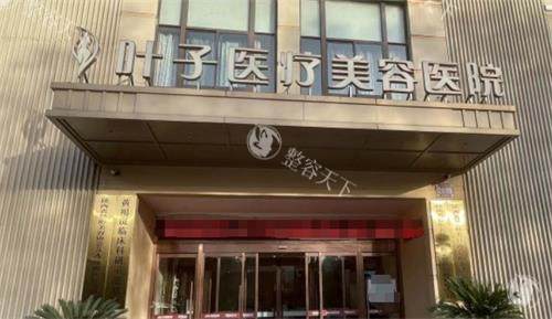 西安叶子医疗美容医院医生名单大公开！徐佳明、鲁礼新领衔，10+经验医师全在这！