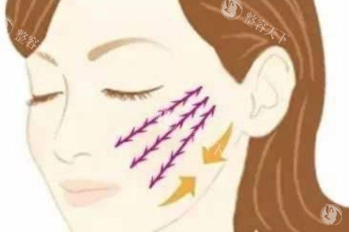 欧薇拉蛋白线怎么样？从产品特点、功效与作用、适用人群等解析