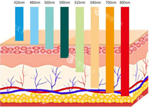 上海打尿酸注射价格表2025，润百颜1280元起、伊婉C1880元起、艾莉薇2500元起、乔雅登5000元起