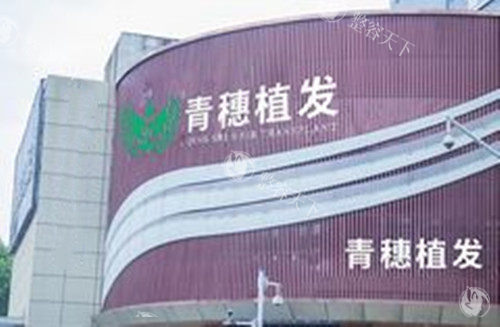 青穗植发是连锁店吗?是国内连锁植发品牌!多地都有青穗植发,分享青穗植发价格表