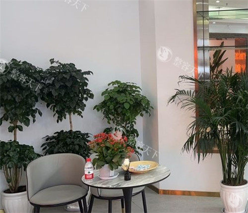重庆美姿植发2025价格表全公开！含发际线/头顶/眉毛/睫毛及疤痕植发费用