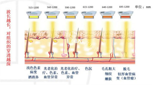 飞顿牛奶光嫩肤好不好？奉上飞顿牛奶光的功效与作用、价格及维持时间