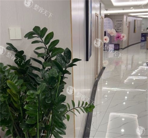 珠海九龙整形医院收费标准：公开2025眼鼻修复/丰胸/脂肪填充/吸脂/五官调整价格明细！
