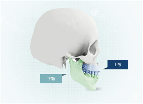 杭州栗勇怎么样?业界口碑好,约轮廓整形可找他!