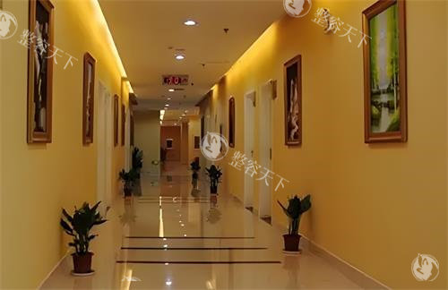 武汉五洲整形外科医院怎么样?腹壁整形/巨乳缩小/注射玻尿酸均正规!