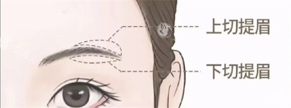 南昌汉美医疗美容正规吗？资质+口碑+医生团队全分析，看完再决定！