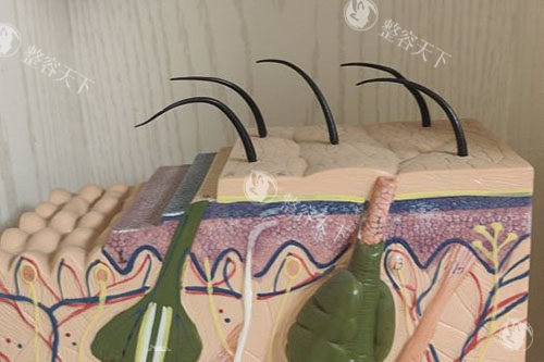 武汉仁爱医院植发科真不错，分享到院地址和毛发移植医生技术特色别错过！