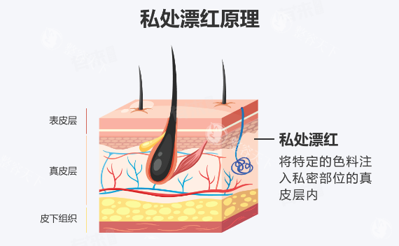 玛丽医院收费明细表曝光！从产检到分娩所有项目明码标价，建议孕妈收藏备用！