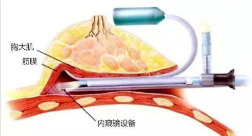 康美医院24小时人工服务热线开通！在线预约超方便，随时解答你的疑问！