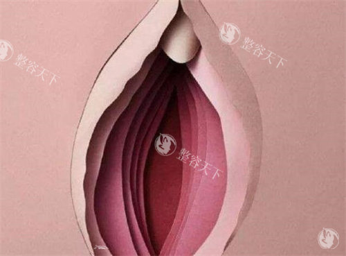 南宁处女膜修复医院怎么选？对比5家机构价格/技术/隐私保护，看完再决定！