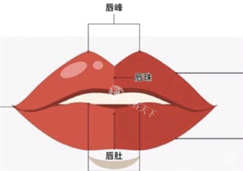 改乌唇用什么颜色覆盖？汇总不同颜色适应肤色，附三个真实改色实例！