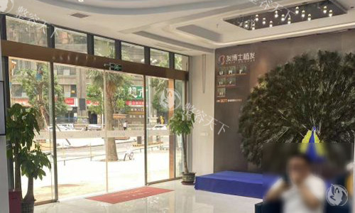 贵阳植发医院2025人气名单揭晓：贵阳发博士植发成活率/性价比稳居榜首