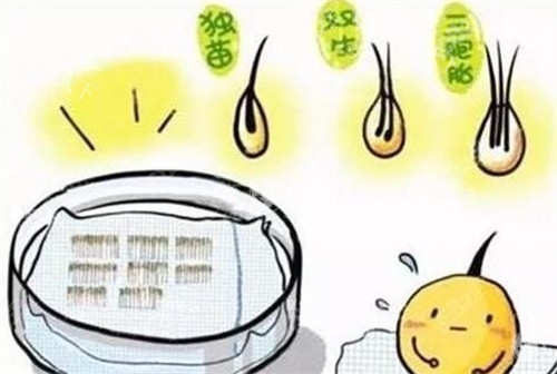 南宁贞韩好还是科发源好？作为两家植发专科医院做植发都可以尽管放心！